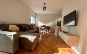 Koprivica apartment 2